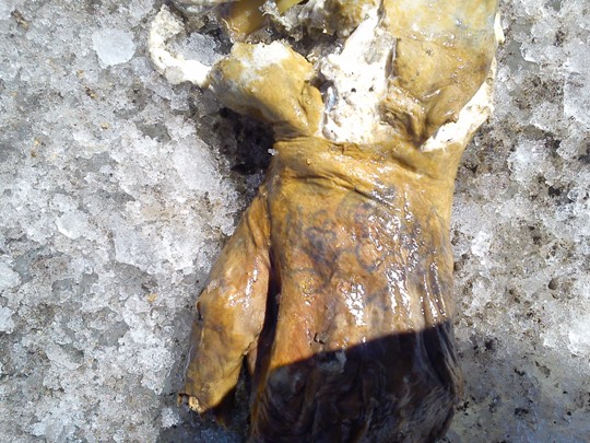 Находки с Эльбруса. () Находки с Эльбруса.