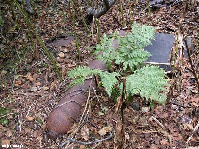 Остров Матуа на Курилах () Остров Матуа на Курилах