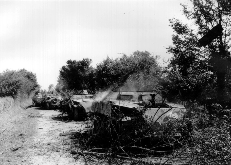 Подборка фото. Союзники. () Подборка фото. Союзники.