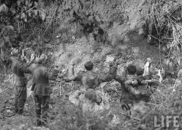 Подборка фото () Подборка фото