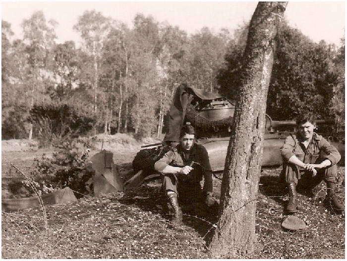 Подборка фото. () Подборка фото.