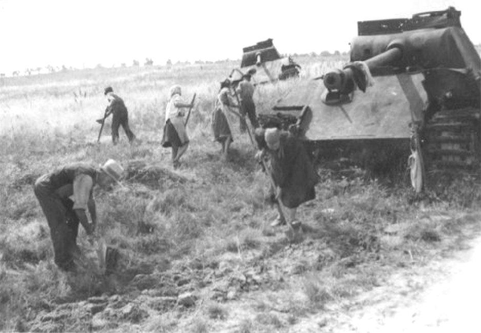 Подборка фото. () Подборка фото.