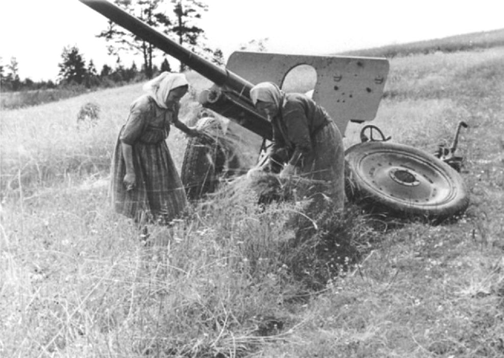 Подборка фото. () Подборка фото.