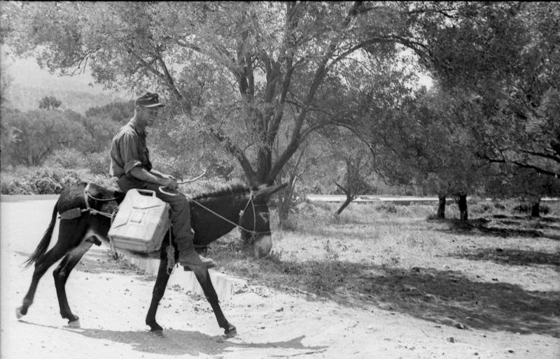 Подборка фото. () Подборка фото.