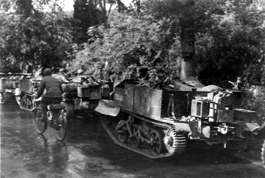 Подборка фото. () Подборка фото.