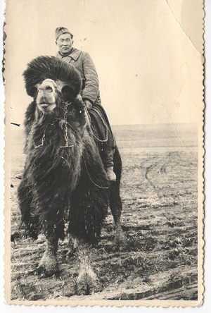 Приключения калмыков в России