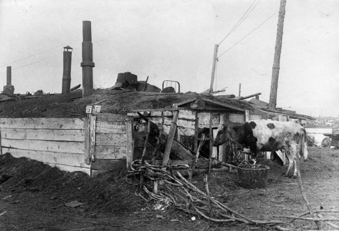 Разгром НКВД в 1939-м жителей хибар на железных дорогах