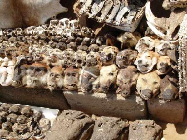 Разрядка обстановки. Странные места