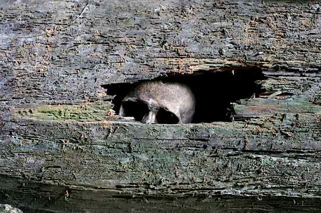 Разрядка обстановки. Странные места