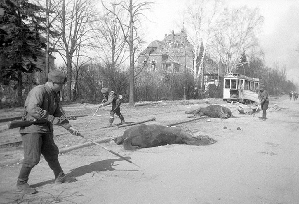 Штурм Кенигсберга. Восточно-Прусская операция.