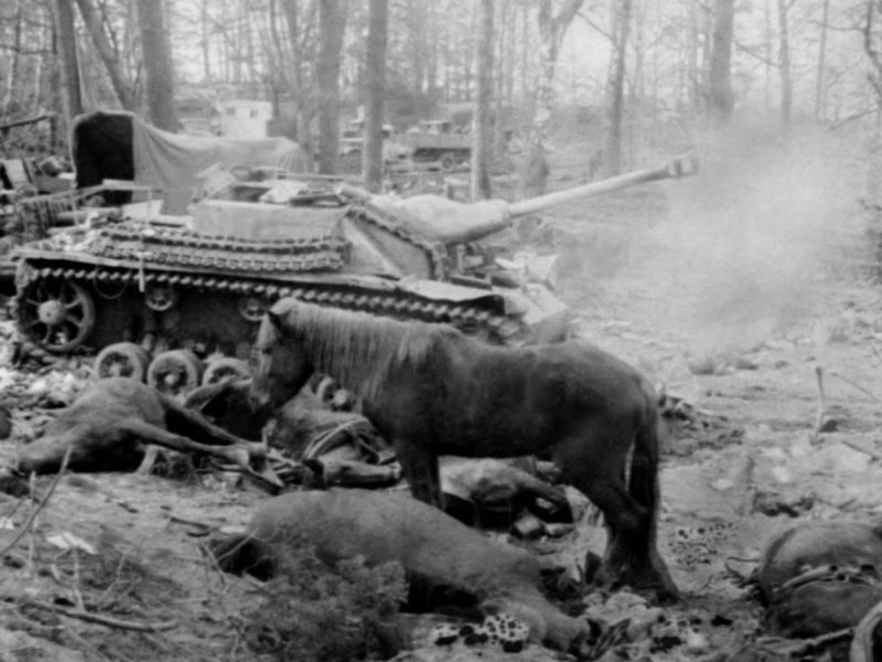 Штурм Кёнигсберга. Прорыв немецкой обороны () Штурм Кёнигсберга. Прорыв немецкой обороны