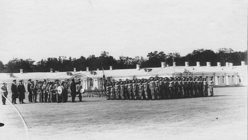 Смотр потешных 1-го народного класса военного строя и гимнастики имени цесаревича Алексея () Смотр потешных 1-го народного класса военного строя и гимнастики имени цесаревича Алексея