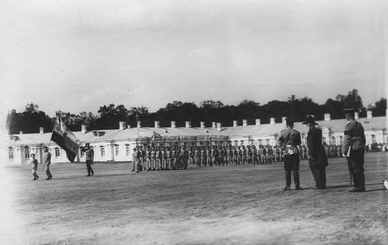 Смотр потешных 1-го народного класса военного строя и гимнастики имени цесаревича Алексея () Смотр потешных 1-го народного класса военного строя и гимнастики имени цесаревича Алексея