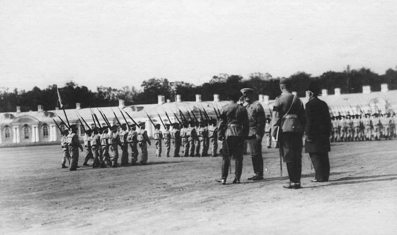 Смотр потешных 1-го народного класса военного строя и гимнастики имени цесаревича Алексея () Смотр потешных 1-го народного класса военного строя и гимнастики имени цесаревича Алексея