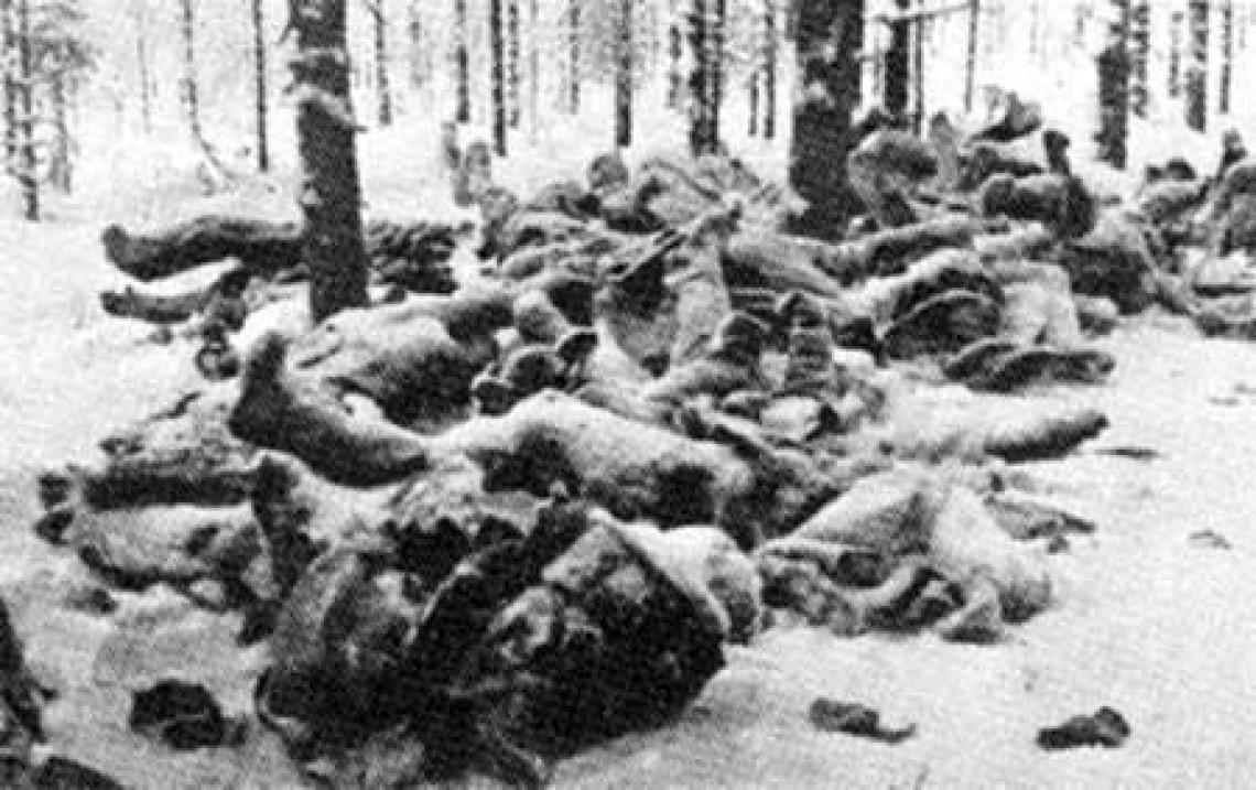 Война с Финляндией: Игры Патриотов () Война с Финляндией: Игры Патриотов