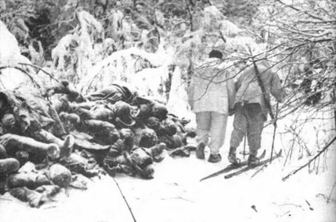 Война с Финляндией: Игры Патриотов () Война с Финляндией: Игры Патриотов