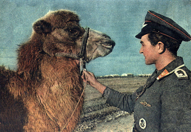 Как немцы собирались колонизировать Крым () Как немцы собирались колонизировать Крым