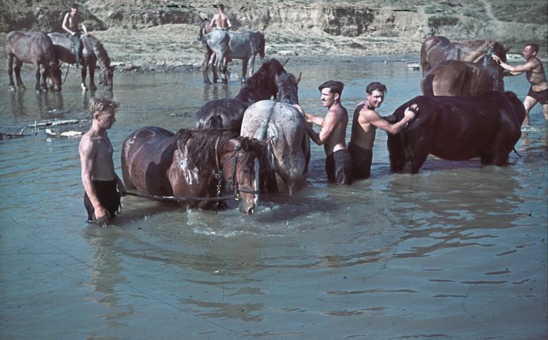 Как немцы собирались колонизировать Крым () Как немцы собирались колонизировать Крым