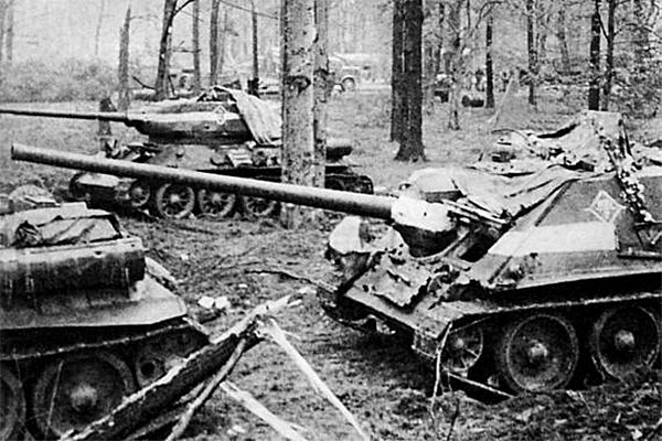 Ликвидация франкфуртско-губенской группировки