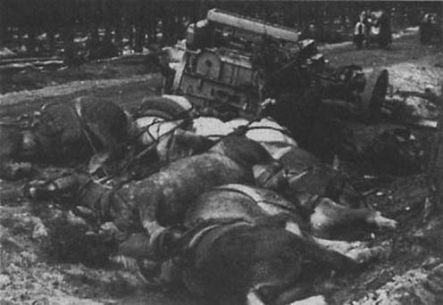 Ликвидация франкфуртско-губенской группировки