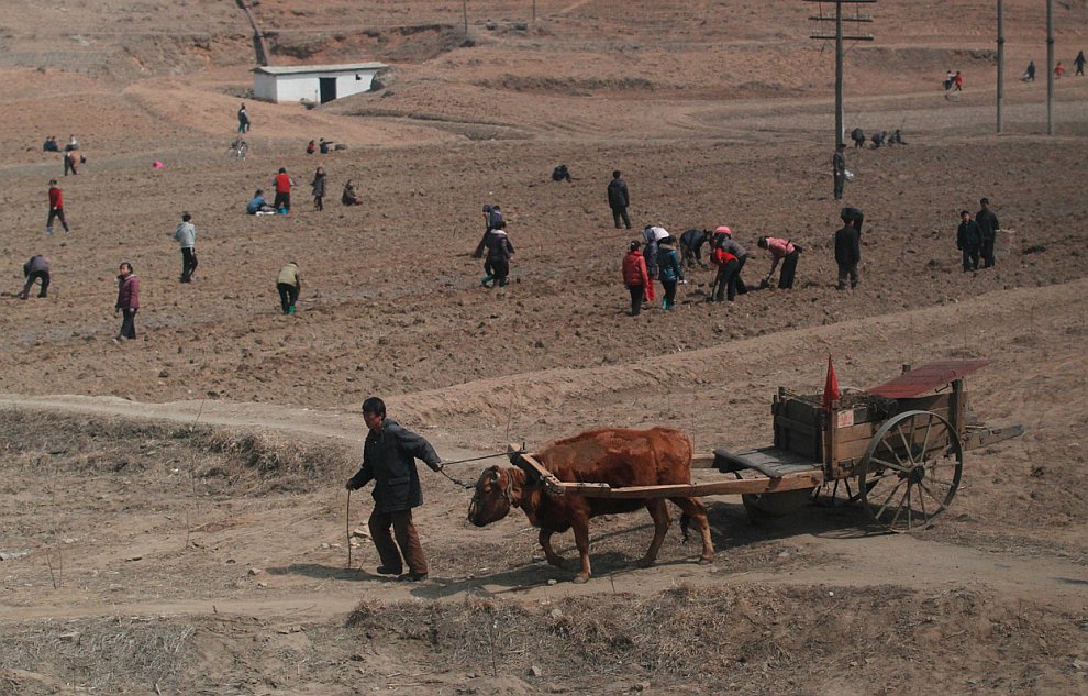 Лозунги КНДР () Лозунги КНДР