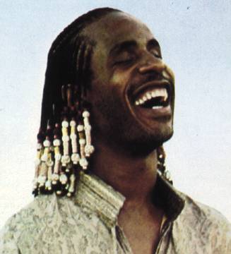 Основоположник классического соула Стиви Уандер, в галерее «Дилетанта»