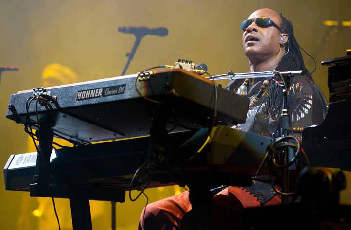 Основоположник классического соула Стиви Уандер, в галерее «Дилетанта»