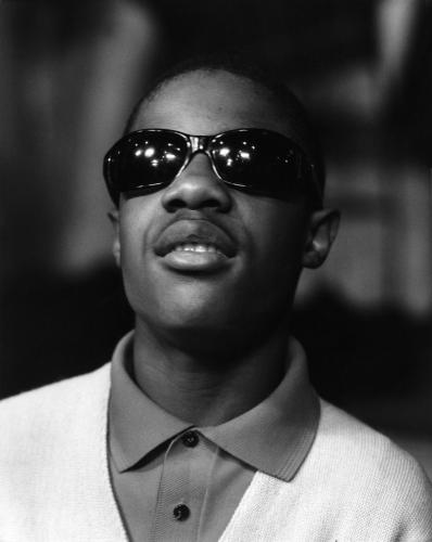 Основоположник классического соула Стиви Уандер, в галерее «Дилетанта»