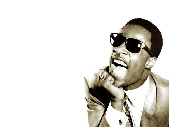 Основоположник классического соула Стиви Уандер, в галерее «Дилетанта»