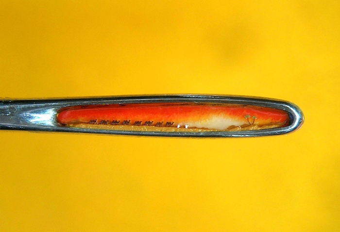 По следам любимых героев () По следам любимых героев