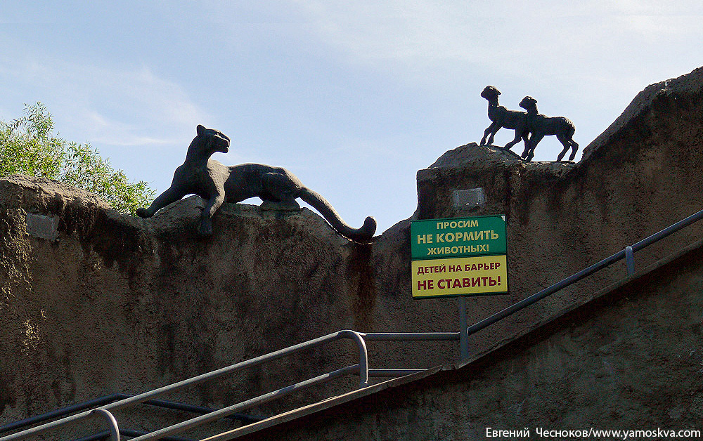 Прогулка по Москве 1996 года () Прогулка по Москве 1996 года