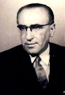 Румынские добровольцы. Боевой путь дивизий «Тудор Владимиреску» и «Хориа, Клошка ши Кришан»