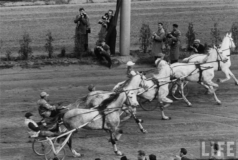 Рысистые бега. История в деталях () Рысистые бега. История в деталях