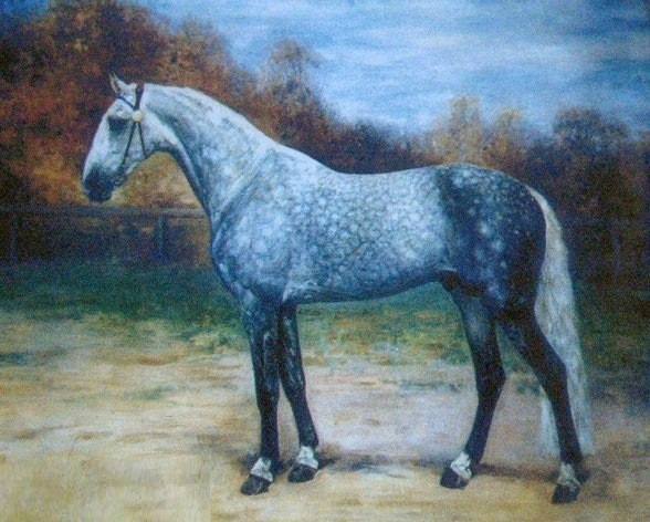 Рысистые бега. История в деталях () Рысистые бега. История в деталях