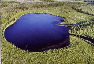 30 июня () 30 июня