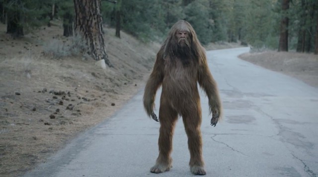 Астрология, френология и гомеопатия: 11 популярных псевдонаук () Астрология, френология и гомеопатия: 11 популярных псевдонаук