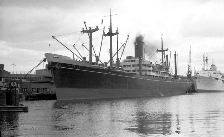 История мирового успеха перевозчиков – старообрядцев власовых () История мирового успеха перевозчиков – старообрядцев власовых