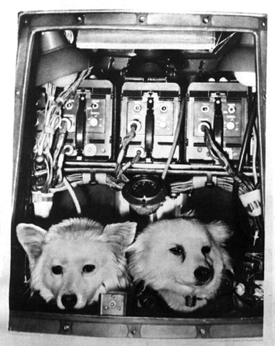 История создания скафандров () История создания скафандров