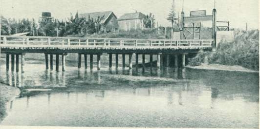 Иван мичурин - селекционер и изобретатель