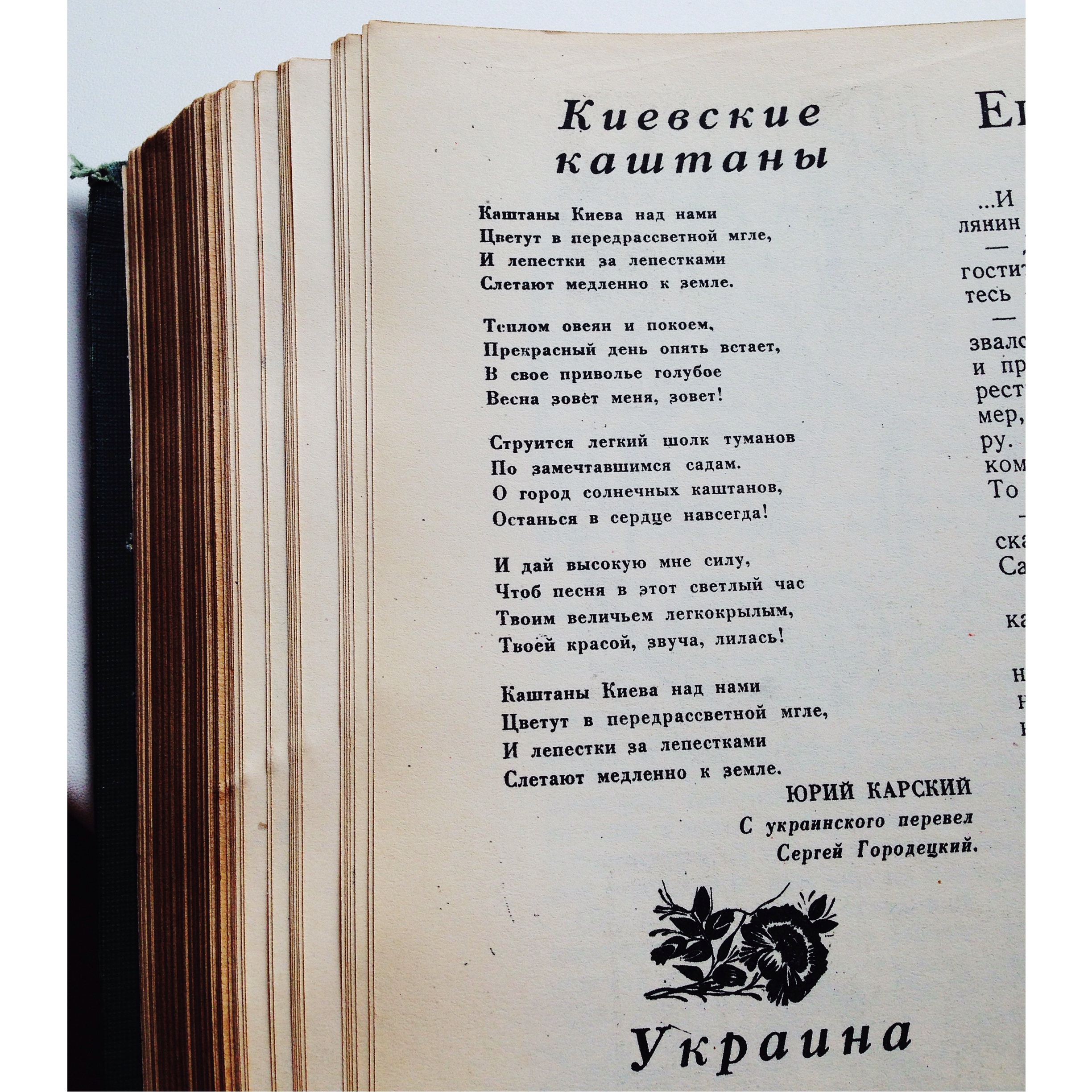 «Крокодил: киевские каштаны»