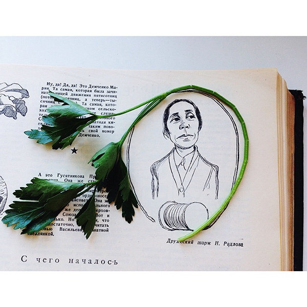 Крокодил: колхозная весёлая