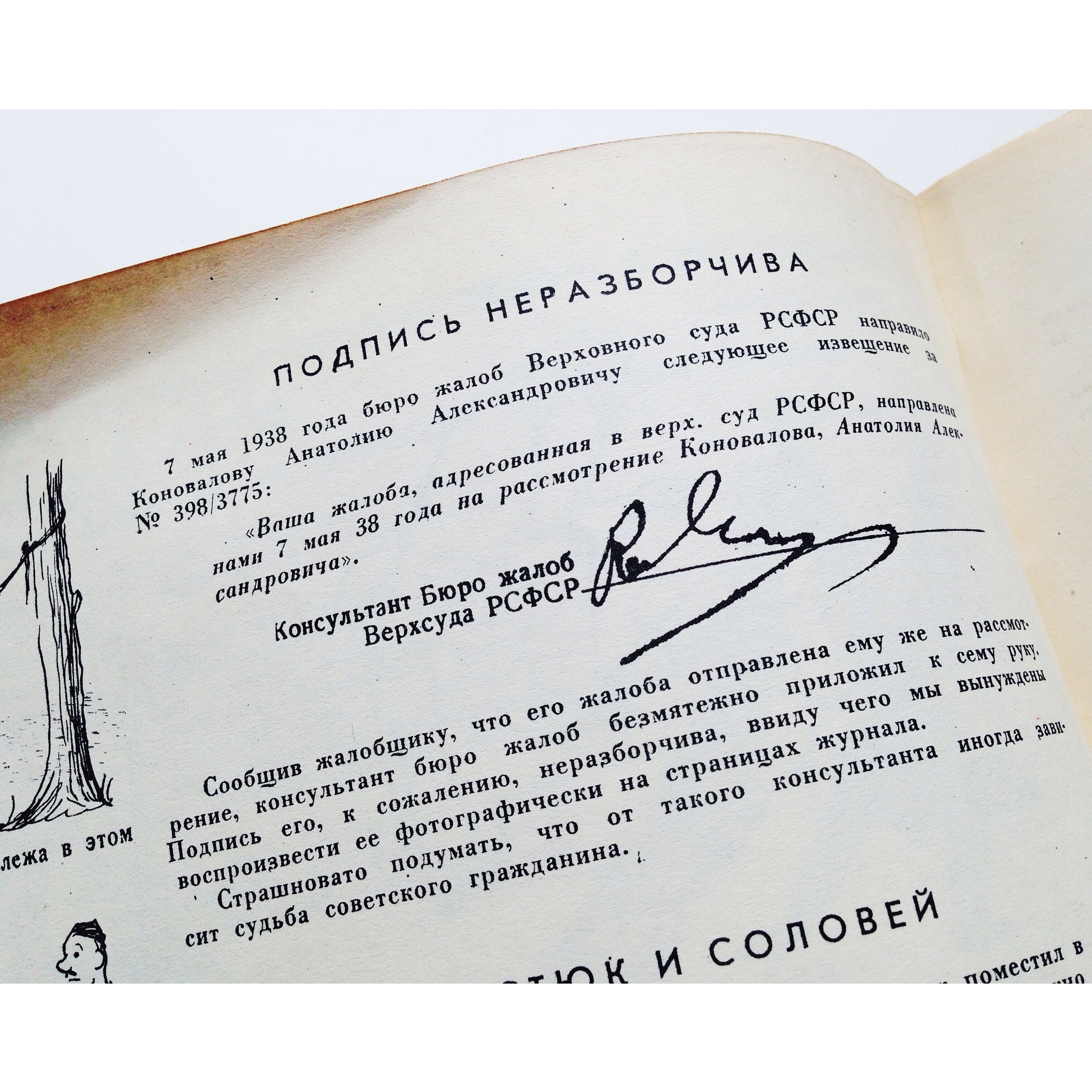 «Крокодил: Курорт как препятствие»