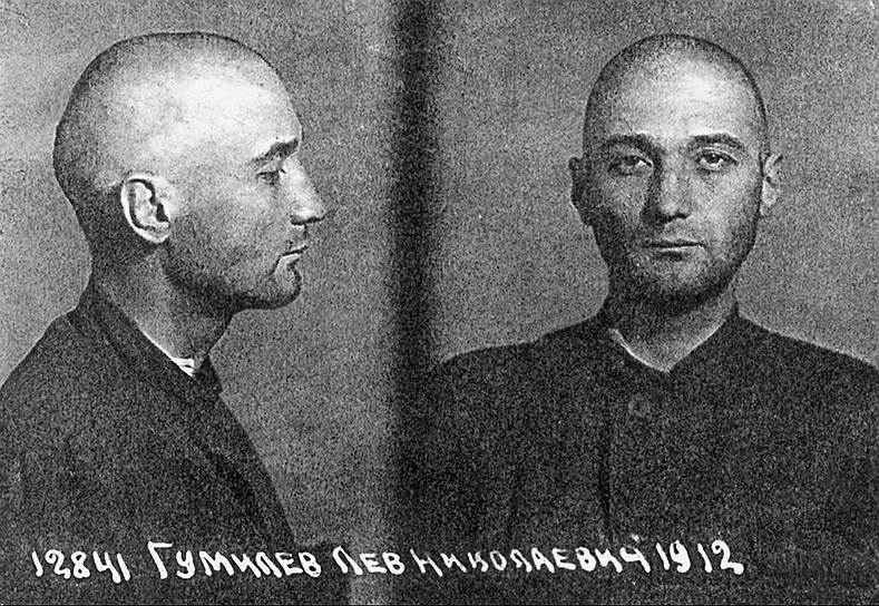 Лев гумилев. теория пассионарности () Лев гумилев. теория пассионарности