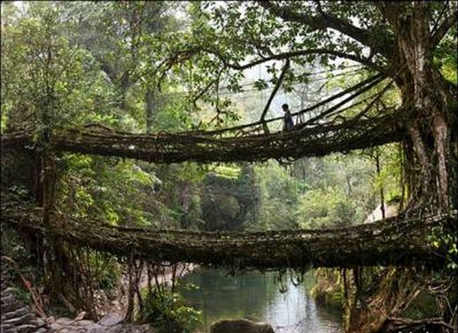 Мосты призраков и мосты-убийцы