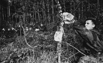 На языке врага…