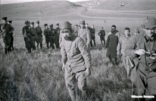 На языке врага…