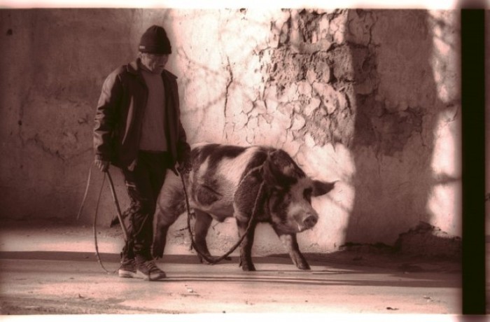 «Они будут соблазнять нас жирным пирогом, чтобы мы приняли их веру» () «Они будут соблазнять нас жирным пирогом, чтобы мы приняли их веру»