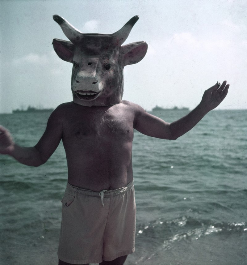 Пабло Пикассо. 15 фактов о художнике () Пабло Пикассо. 15 фактов о художнике