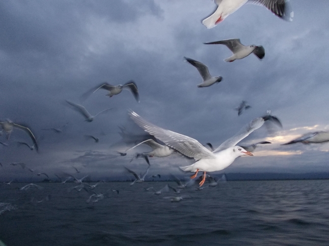 Суеверия и традиции моряков () Суеверия и традиции моряков