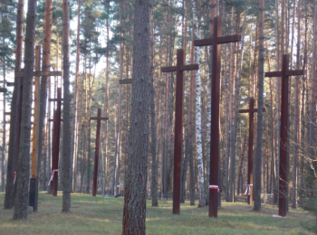 Гарантированная «дезинфекция» () Гарантированная «дезинфекция»